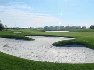 天津 濱海 森林 ゴルフ クラブ